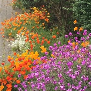 Meet your Posher, Teresa